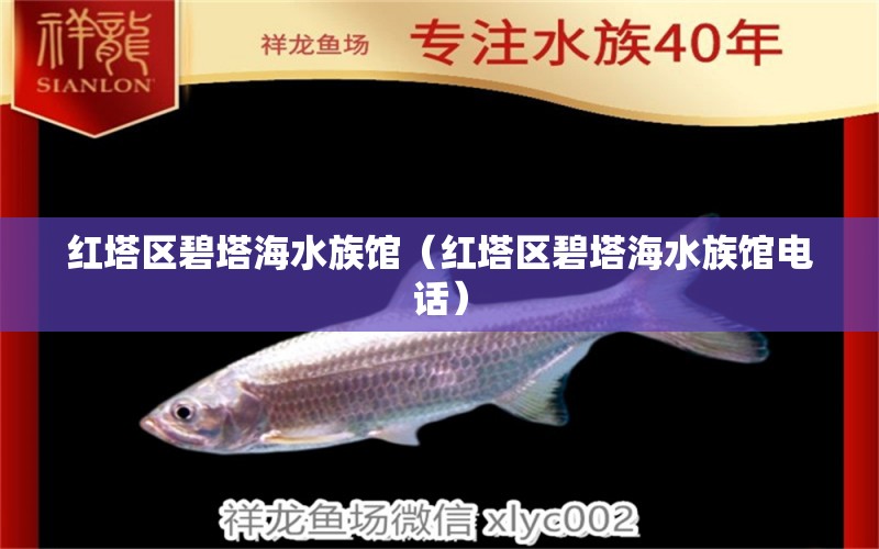 红塔区碧塔海水族馆（红塔区碧塔海水族馆电话）