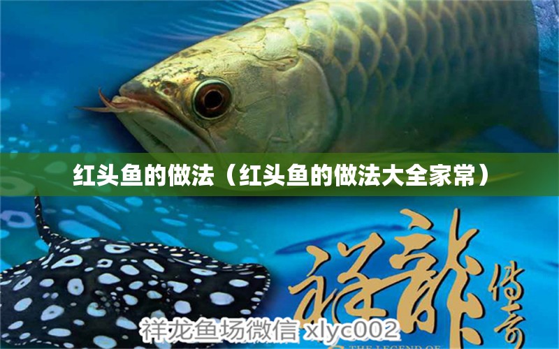 红头鱼的做法（红头鱼的做法大全家常） 水族品牌