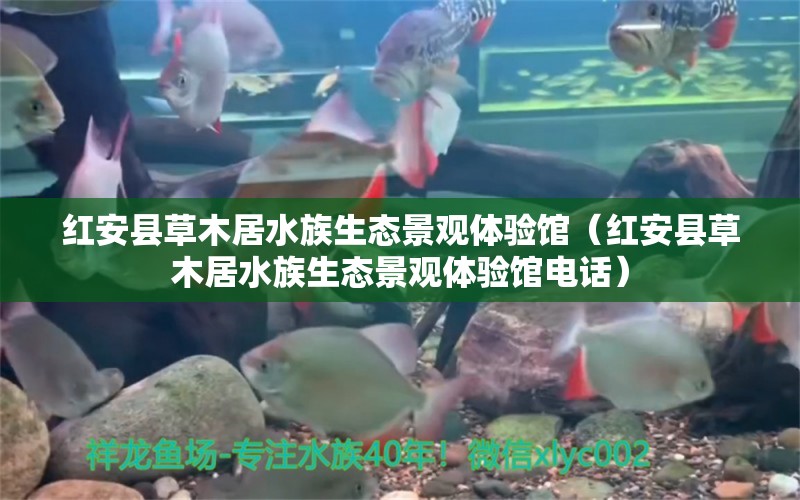 红安县草木居水族生态景观体验馆（红安县草木居水族生态景观体验馆电话） 全国水族馆企业名录