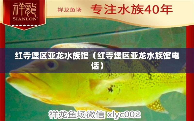 红寺堡区亚龙水族馆（红寺堡区亚龙水族馆电话） 全国水族馆企业名录