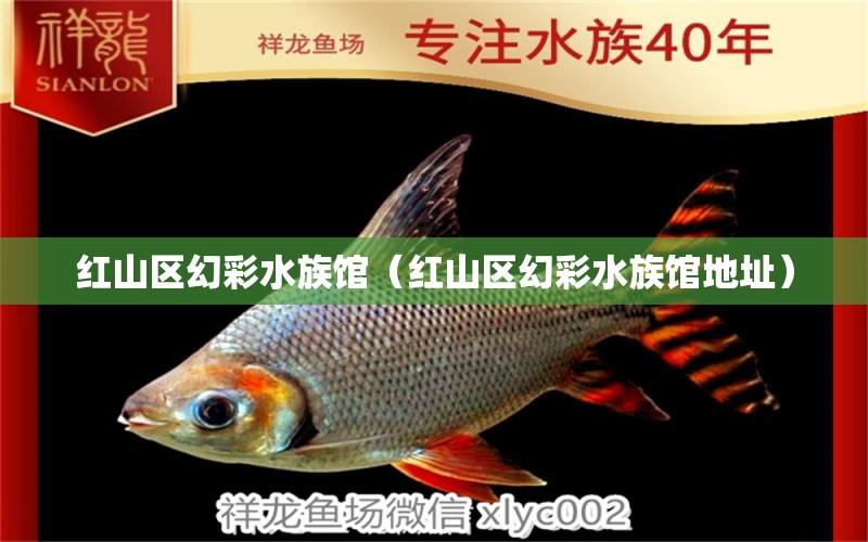 红山区幻彩水族馆（红山区幻彩水族馆地址） 全国水族馆企业名录