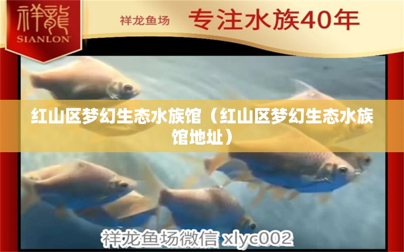 红山区梦幻生态水族馆（红山区梦幻生态水族馆地址）