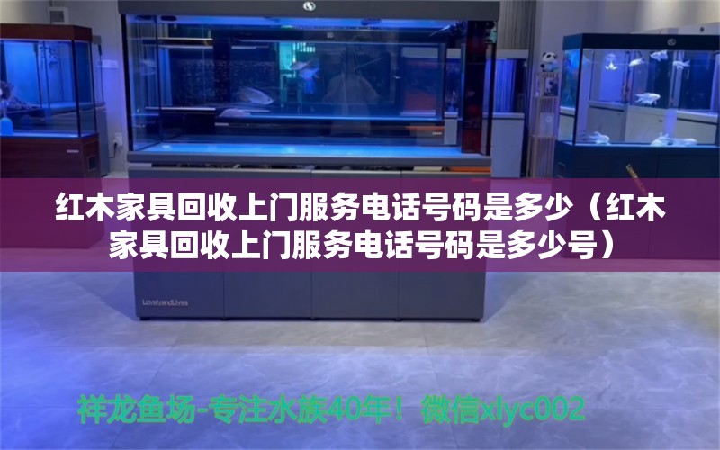 红木家具回收上门服务电话号码是多少（红木家具回收上门服务电话号码是多少号） 文玩