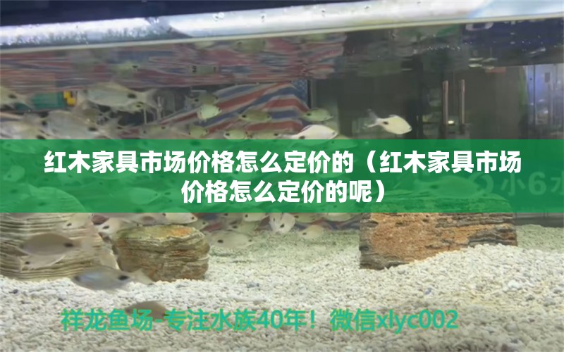 红木家具市场价格怎么定价的（红木家具市场价格怎么定价的呢）