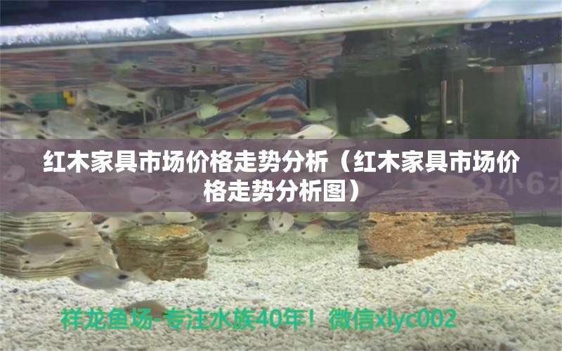 红木家具市场价格走势分析（红木家具市场价格走势分析图）