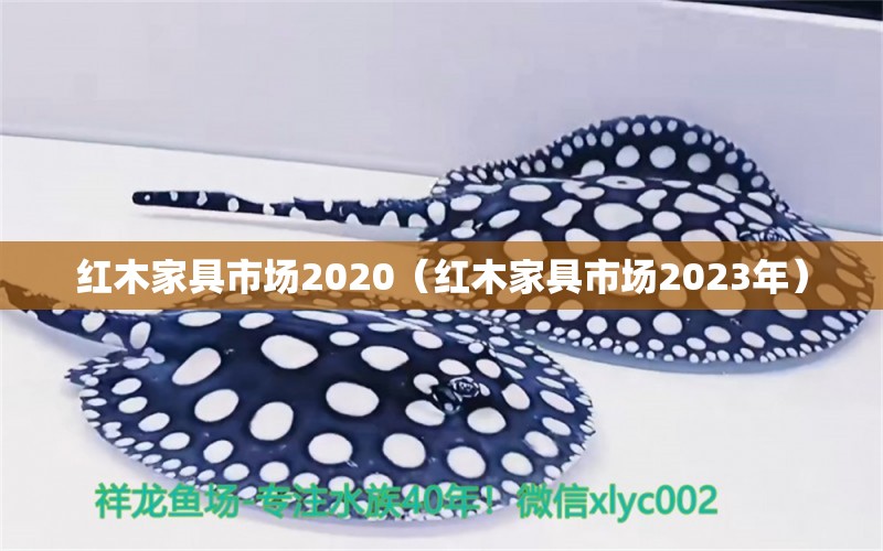 红木家具市场2020（红木家具市场2023年）