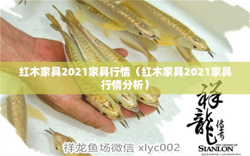 红木家具2021家具行情（红木家具2021家具行情分析）