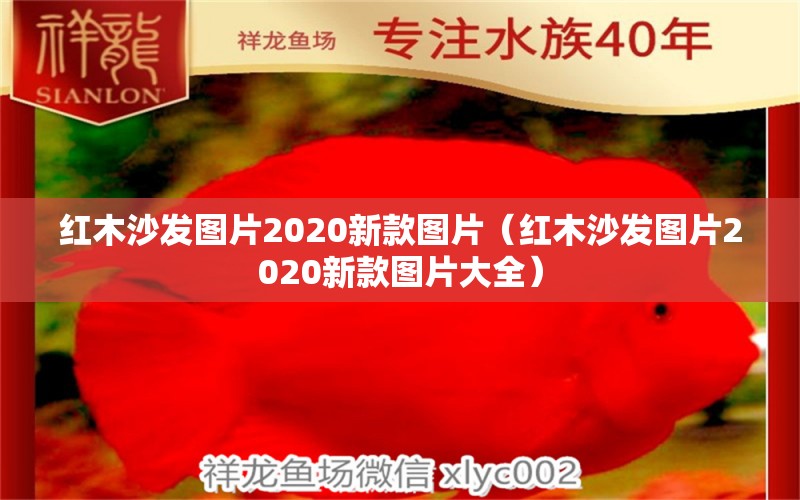 红木沙发图片2020新款图片（红木沙发图片2020新款图片大全）