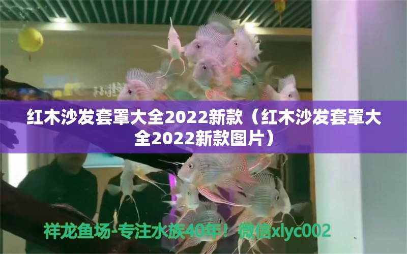 红木沙发套罩大全2022新款（红木沙发套罩大全2022新款图片） 文玩