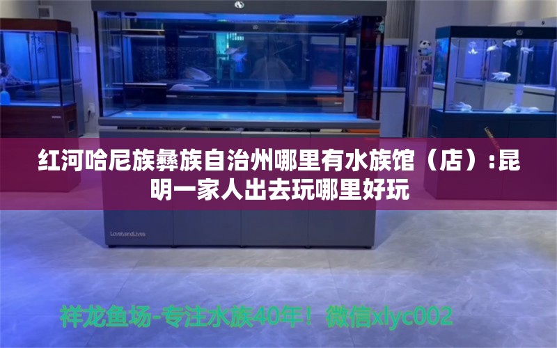 红河哈尼族彝族自治州哪里有水族馆（店）:昆明一家人出去玩哪里好玩