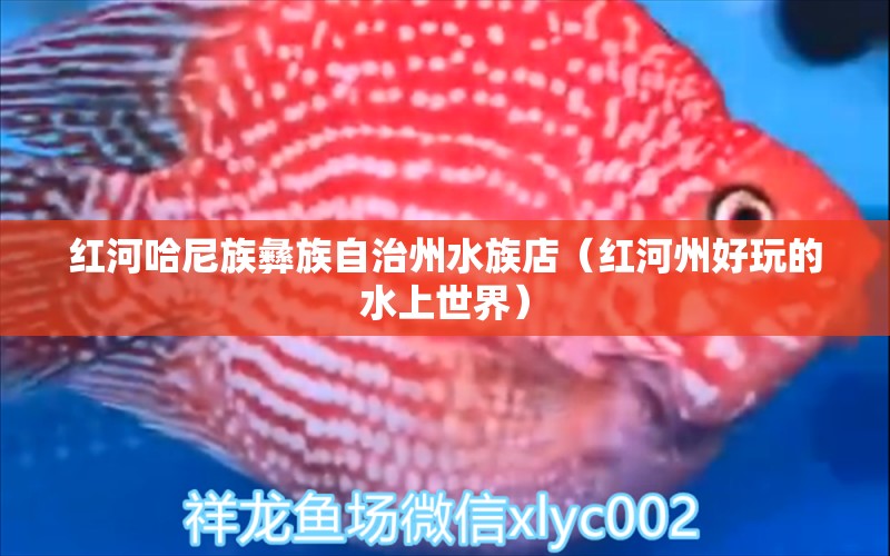 红河哈尼族彝族自治州水族店（红河州好玩的水上世界）