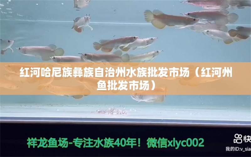 红河哈尼族彝族自治州水族批发市场（红河州鱼批发市场）