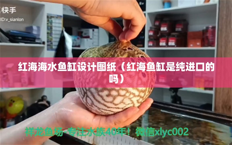 红海海水鱼缸设计图纸（红海鱼缸是纯进口的吗）