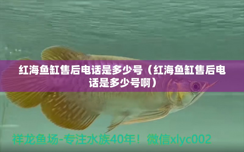 红海鱼缸售后电话是多少号（红海鱼缸售后电话是多少号啊）