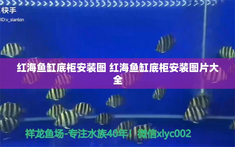 红海鱼缸底柜安装图 红海鱼缸底柜安装图片大全