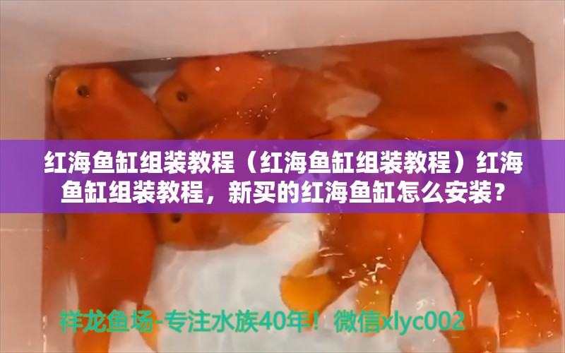 红海鱼缸组装教程（红海鱼缸组装教程）红海鱼缸组装教程，新买的红海鱼缸怎么安装？ 黑水素 第1张