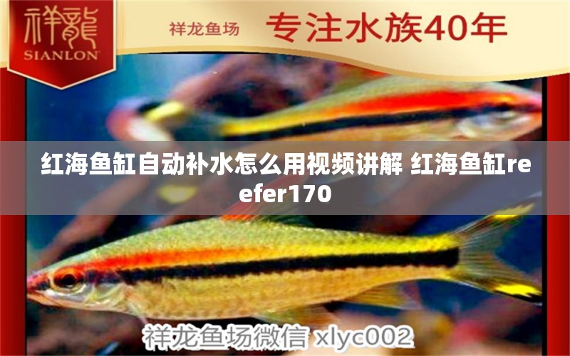 红海鱼缸自动补水怎么用视频讲解 红海鱼缸reefer170 祥龙龙鱼鱼粮 第1张