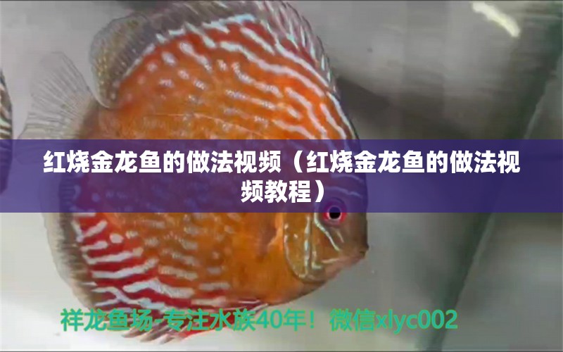 红烧金龙鱼的做法视频（红烧金龙鱼的做法视频教程）