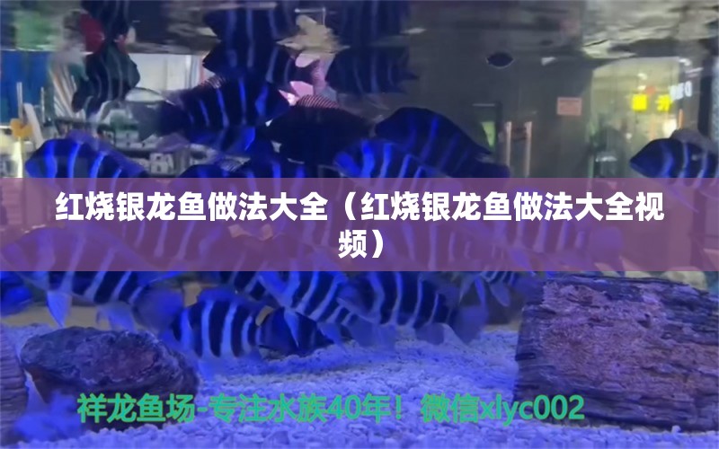 红烧银龙鱼做法大全（红烧银龙鱼做法大全视频）