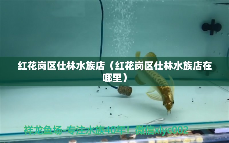 红花岗区仕林水族店（红花岗区仕林水族店在哪里）