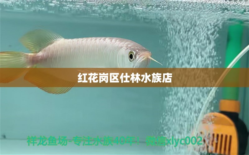 红花岗区仕林水族店 全国水族馆企业名录