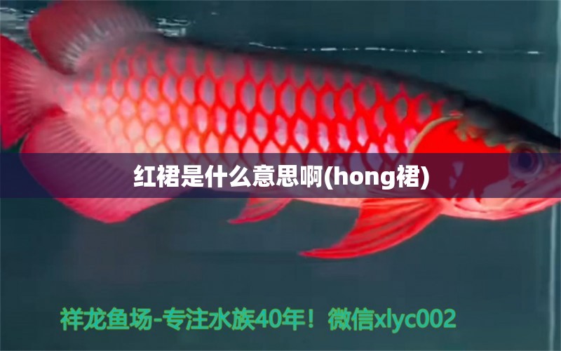 红裙是什么意思啊(hong裙)