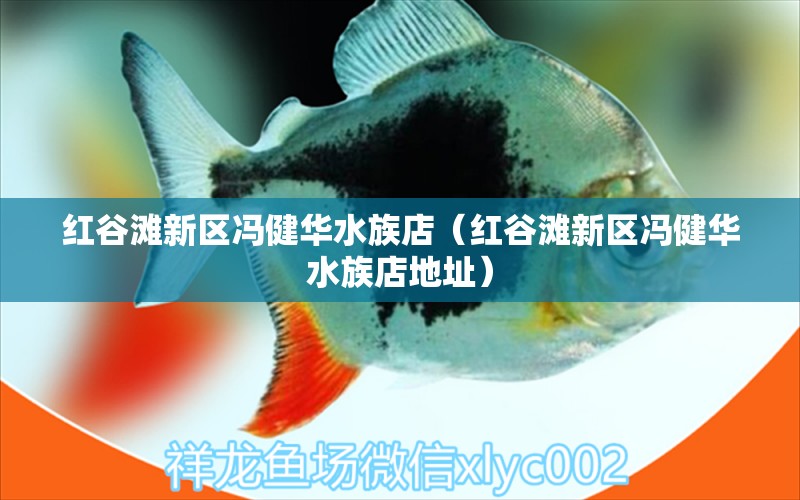 红谷滩新区冯健华水族店（红谷滩新区冯健华水族店地址） 全国水族馆企业名录