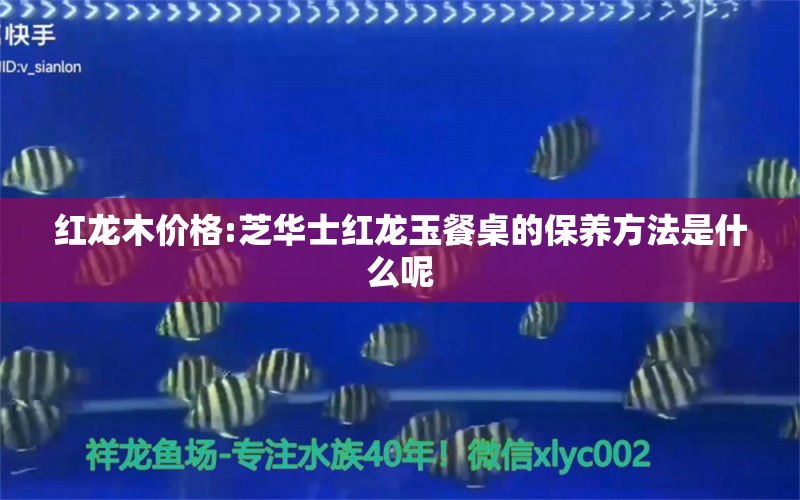 红龙木价格:芝华士红龙玉餐桌的保养方法是什么呢