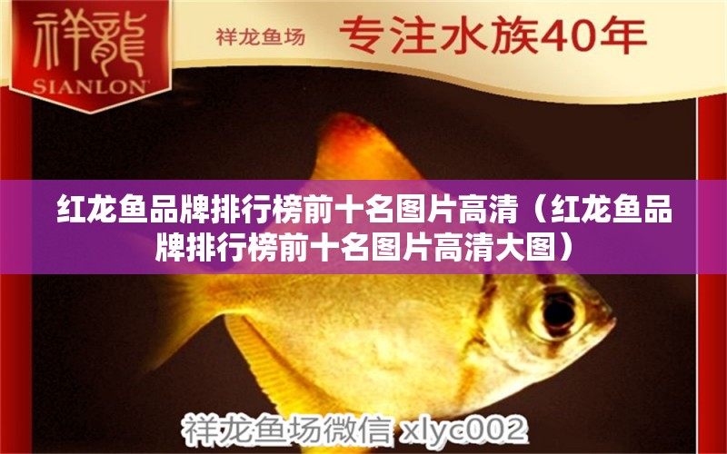 红龙鱼品牌排行榜前十名图片高清（红龙鱼品牌排行榜前十名图片高清大图） 印尼红龙鱼