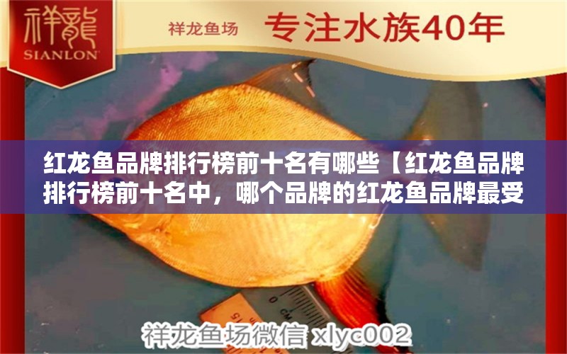 红龙鱼品牌排行榜前十名有哪些【红龙鱼品牌排行榜前十名中，哪个品牌的红龙鱼品牌最受欢迎？】