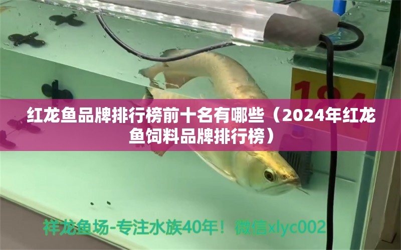 红龙鱼品牌排行榜前十名有哪些（2024年红龙鱼饲料品牌排行榜）