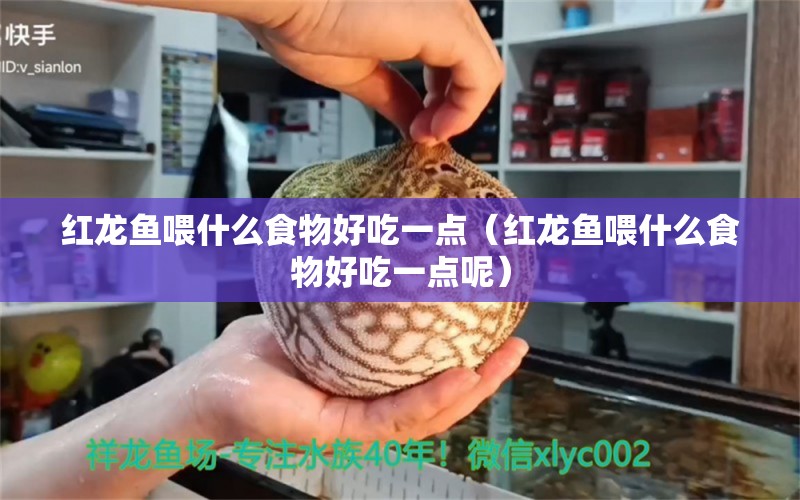 红龙鱼喂什么食物好吃一点（红龙鱼喂什么食物好吃一点呢） 龙鱼百科