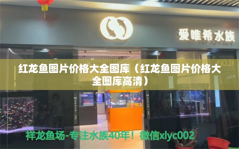 红龙鱼图片价格大全图库（红龙鱼图片价格大全图库高清） 观赏鱼市场（混养鱼）