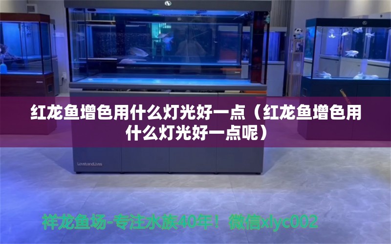 红龙鱼增色用什么灯光好一点（红龙鱼增色用什么灯光好一点呢） 印尼红龙鱼