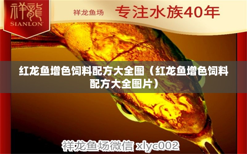 红龙鱼增色饲料配方大全图（红龙鱼增色饲料配方大全图片）