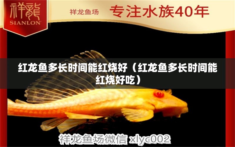 红龙鱼多长时间能红烧好（红龙鱼多长时间能红烧好吃） 祥龙水族医院