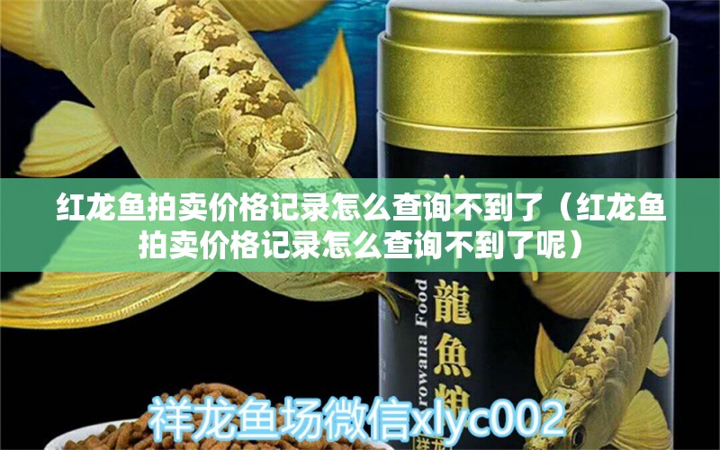 红龙鱼拍卖价格记录怎么查询不到了（红龙鱼拍卖价格记录怎么查询不到了呢）