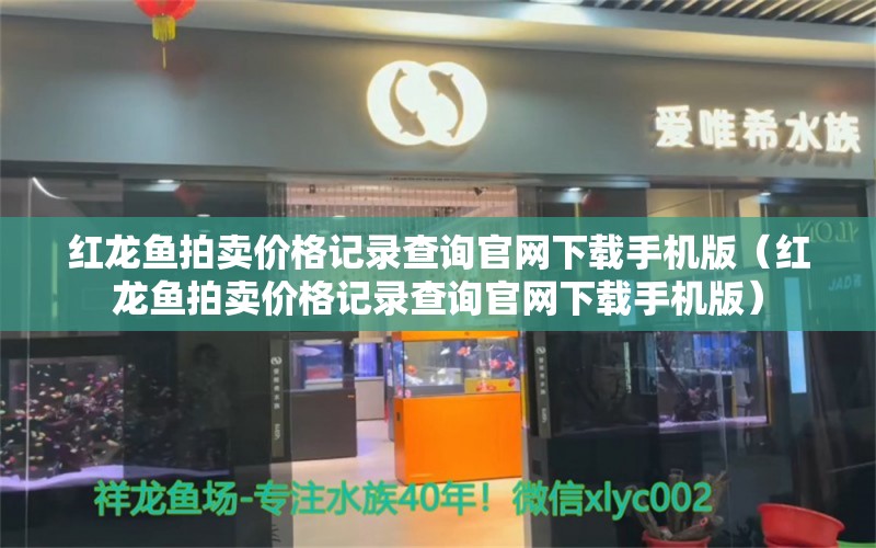 红龙鱼拍卖价格记录查询官网下载手机版（红龙鱼拍卖价格记录查询官网下载手机版）