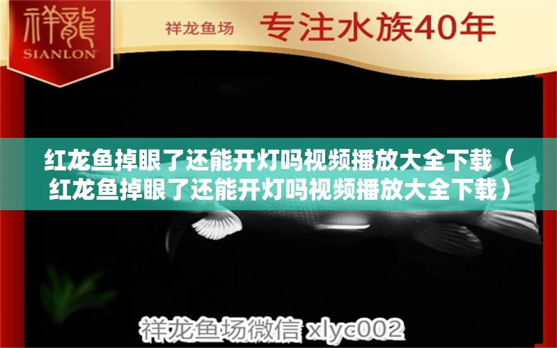 红龙鱼掉眼了还能开灯吗视频播放大全下载（红龙鱼掉眼了还能开灯吗视频播放大全下载）