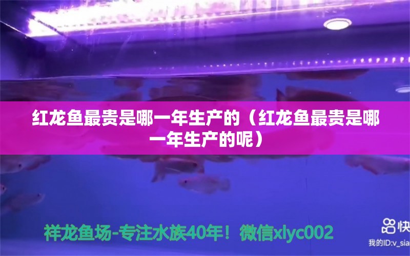 红龙鱼最贵是哪一年生产的（红龙鱼最贵是哪一年生产的呢） 龙鱼百科