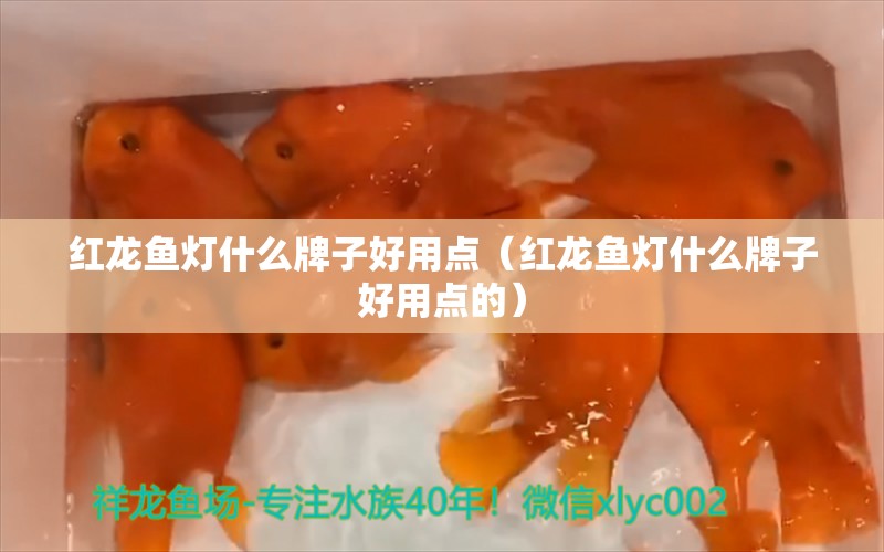 红龙鱼灯什么牌子好用点（红龙鱼灯什么牌子好用点的）