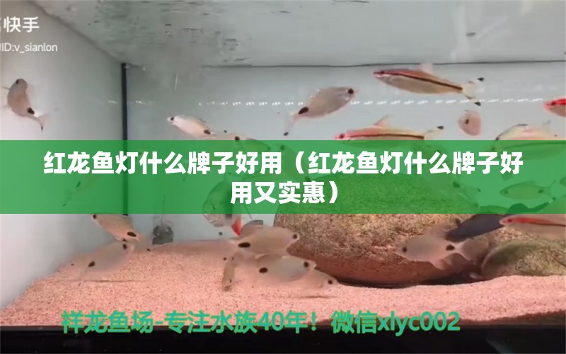 红龙鱼灯什么牌子好用（红龙鱼灯什么牌子好用又实惠）