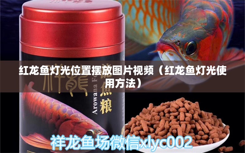 红龙鱼灯光位置摆放图片视频（红龙鱼灯光使用方法） 水族灯（鱼缸灯） 第1张