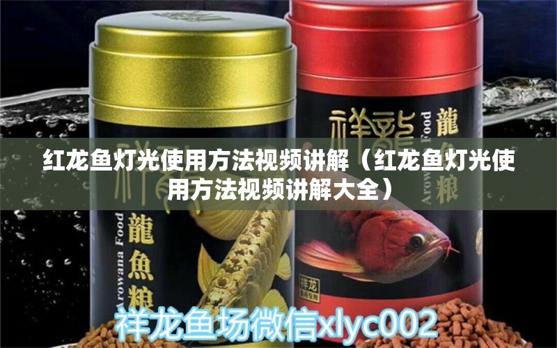 红龙鱼灯光使用方法视频讲解（红龙鱼灯光使用方法视频讲解大全）