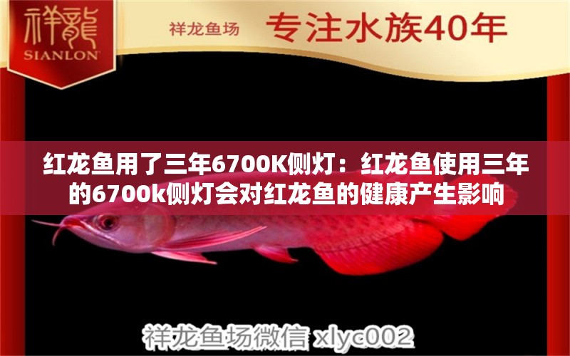 红龙鱼用了三年6700K侧灯：红龙鱼使用三年的6700k侧灯会对红龙鱼的健康产生影响