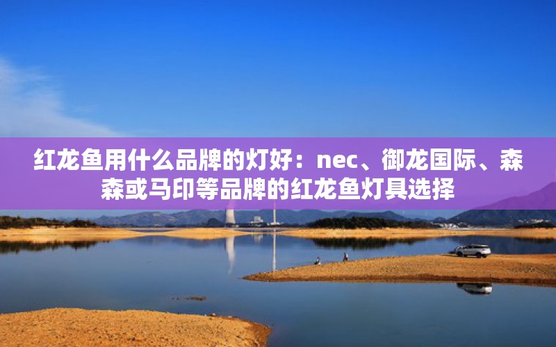 红龙鱼用什么品牌的灯好：nec、御龙国际、森森或马印等品牌的红龙鱼灯具选择