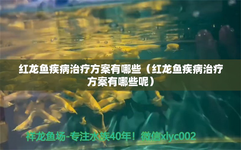 红龙鱼疾病治疗方案有哪些（红龙鱼疾病治疗方案有哪些呢）