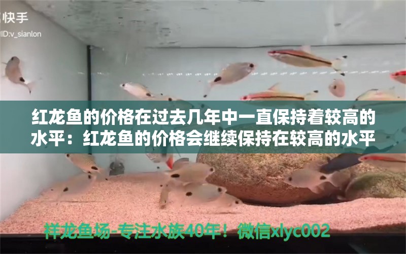 红龙鱼的价格在过去几年中一直保持着较高的水平：红龙鱼的价格会继续保持在较高的水平吗？