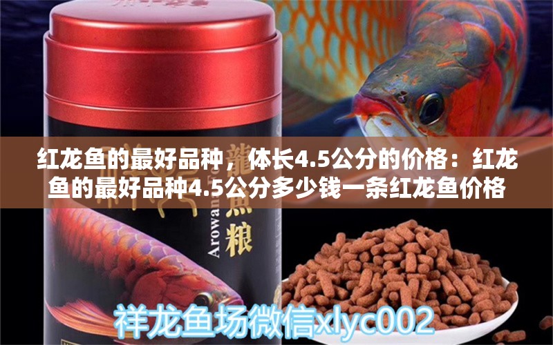 红龙鱼的最好品种，体长4.5公分的价格：红龙鱼的最好品种4.5公分多少钱一条红龙鱼价格 龙鱼百科 第2张