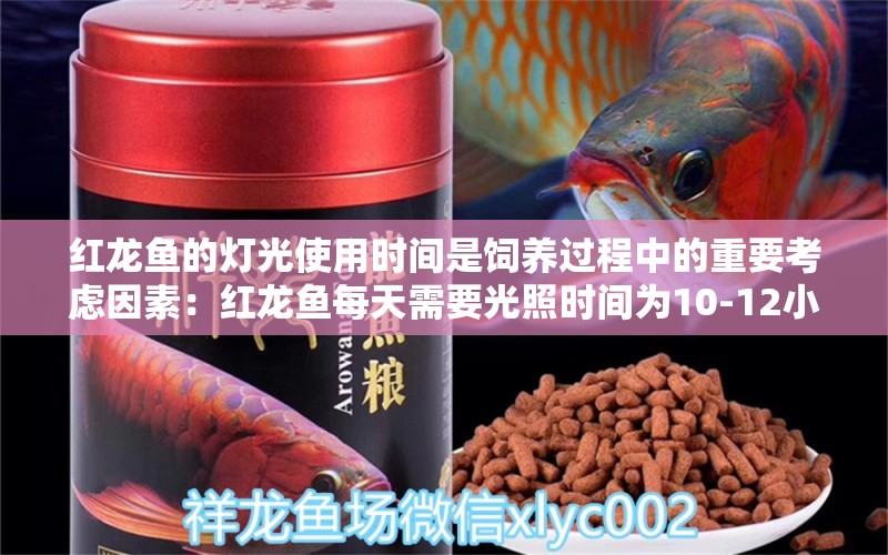 红龙鱼的灯光使用时间是饲养过程中的重要考虑因素：红龙鱼每天需要光照时间为10-12小时